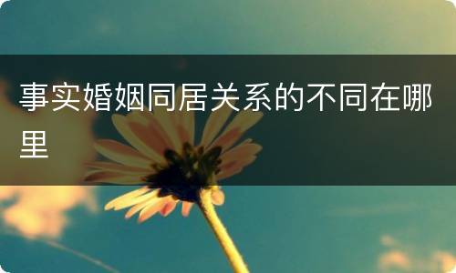事实婚姻同居关系的不同在哪里