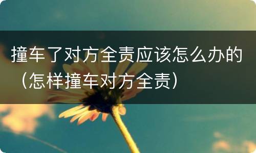 撞车了对方全责应该怎么办的（怎样撞车对方全责）