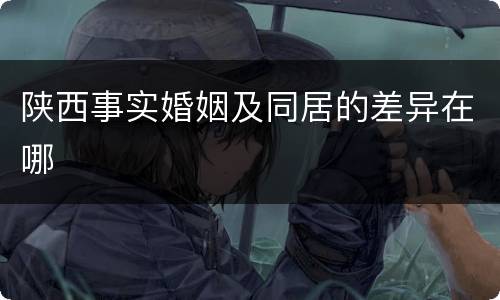 陕西事实婚姻及同居的差异在哪