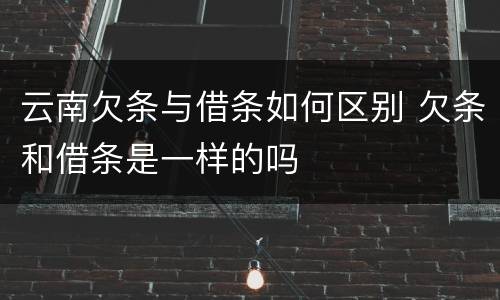 云南欠条与借条如何区别 欠条和借条是一样的吗