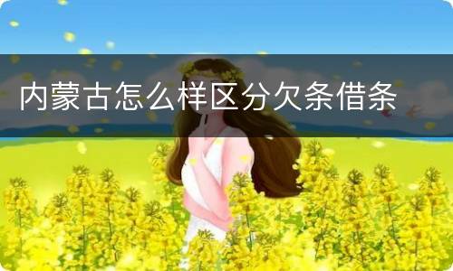 内蒙古怎么样区分欠条借条