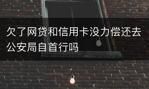 欠了网贷和信用卡没力偿还去公安局自首行吗