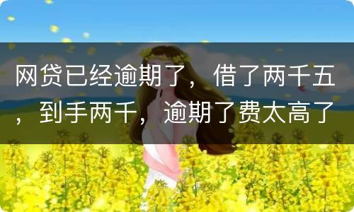 网贷已经逾期了，借了两千五，到手两千，逾期了费太高了，逾期十天，逾期费一千元，这