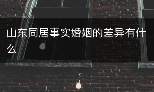 山东同居事实婚姻的差异有什么