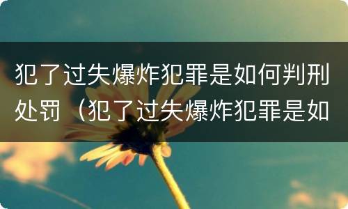 犯了过失爆炸犯罪是如何判刑处罚（犯了过失爆炸犯罪是如何判刑处罚多少钱）