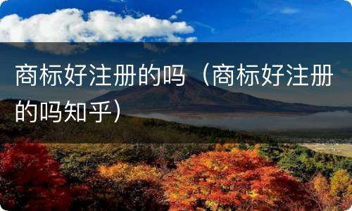 商标好注册的吗（商标好注册的吗知乎）