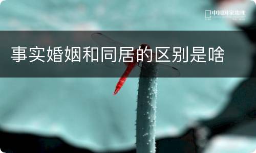 事实婚姻和同居的区别是啥