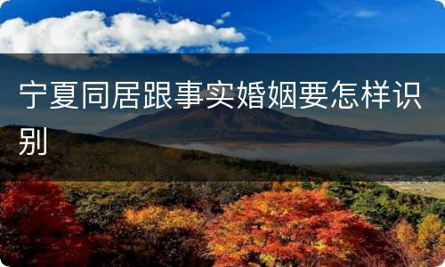 宁夏同居跟事实婚姻要怎样识别