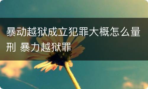暴动越狱成立犯罪大概怎么量刑 暴力越狱罪