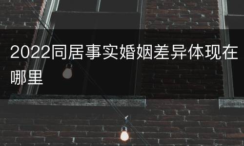 2022同居事实婚姻差异体现在哪里