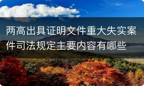 两高出具证明文件重大失实案件司法规定主要内容有哪些