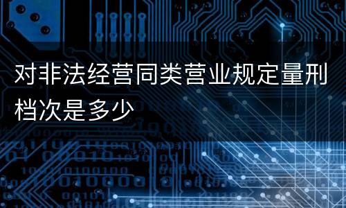 对非法经营同类营业规定量刑档次是多少