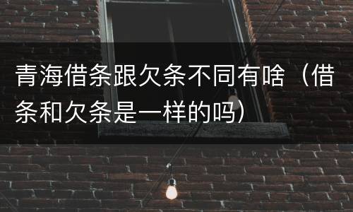 青海借条跟欠条不同有啥（借条和欠条是一样的吗）