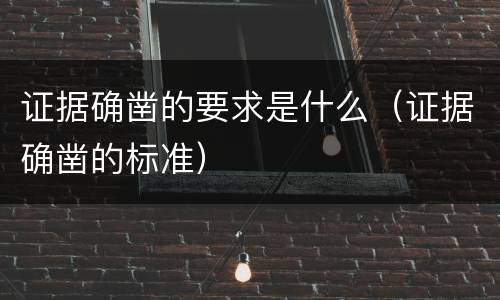 证据确凿的要求是什么（证据确凿的标准）