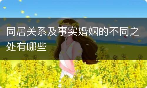 同居关系及事实婚姻的不同之处有哪些