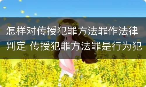 怎样对传授犯罪方法罪作法律判定 传授犯罪方法罪是行为犯吗