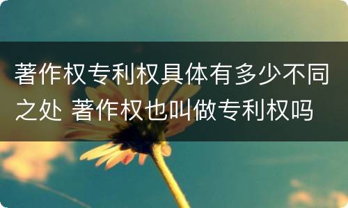 著作权专利权具体有多少不同之处 著作权也叫做专利权吗