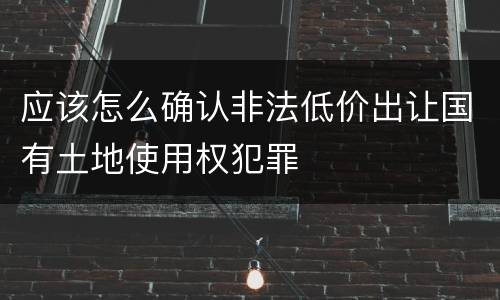 应该怎么确认非法低价出让国有土地使用权犯罪