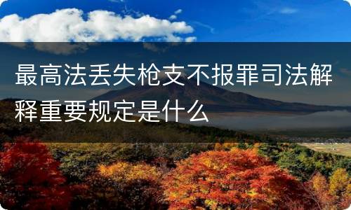 最高法丢失枪支不报罪司法解释重要规定是什么