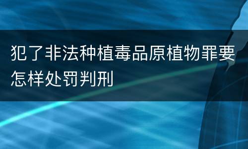 犯了非法种植毒品原植物罪要怎样处罚判刑