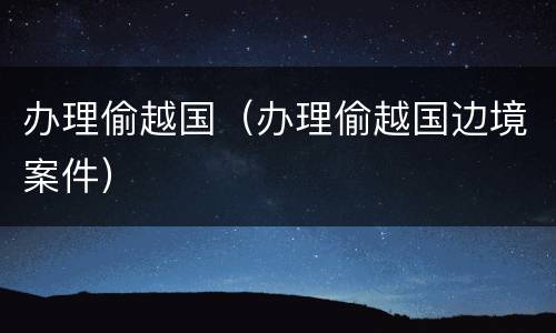 办理偷越国（办理偷越国边境案件）