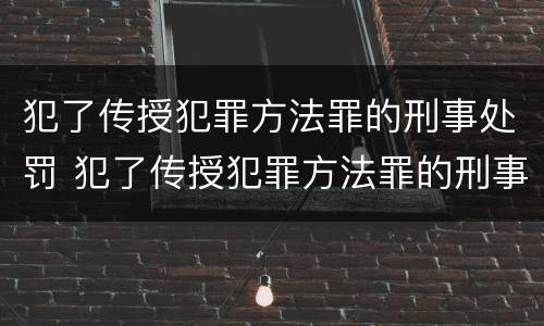 犯了传授犯罪方法罪的刑事处罚 犯了传授犯罪方法罪的刑事处罚决定书
