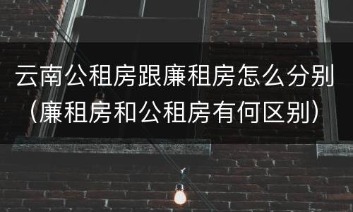 云南公租房跟廉租房怎么分别（廉租房和公租房有何区别）