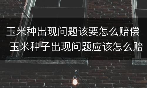 玉米种出现问题该要怎么赔偿 玉米种子出现问题应该怎么赔偿