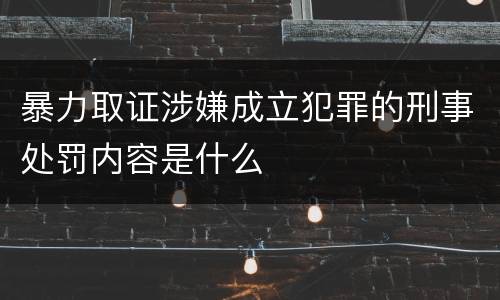 暴力取证涉嫌成立犯罪的刑事处罚内容是什么