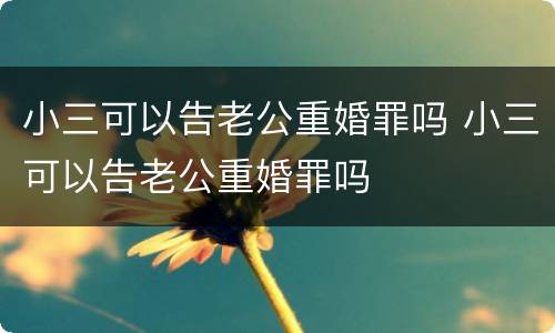 小三可以告老公重婚罪吗 小三可以告老公重婚罪吗