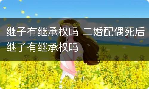 继子有继承权吗 二婚配偶死后继子有继承权吗