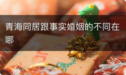 青海同居跟事实婚姻的不同在哪