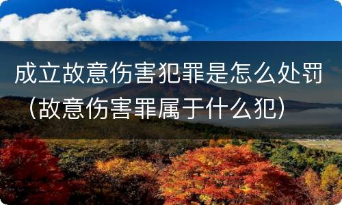 成立故意伤害犯罪是怎么处罚（故意伤害罪属于什么犯）