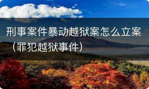 刑事案件暴动越狱案怎么立案（罪犯越狱事件）