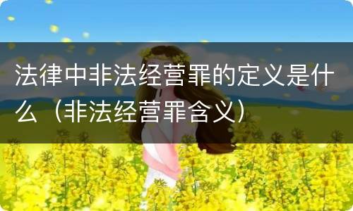 法律中非法经营罪的定义是什么（非法经营罪含义）