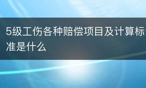 5级工伤各种赔偿项目及计算标准是什么