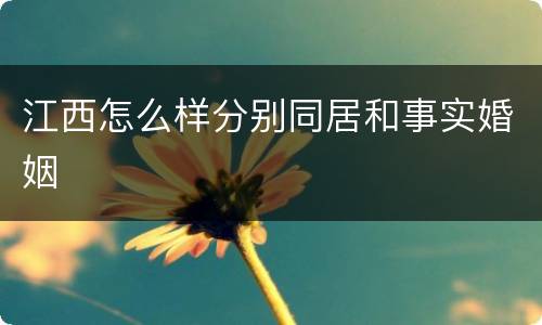 江西怎么样分别同居和事实婚姻