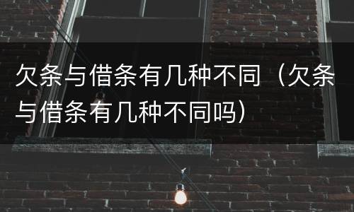 欠条与借条有几种不同（欠条与借条有几种不同吗）