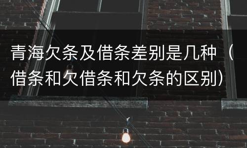 青海欠条及借条差别是几种（借条和欠借条和欠条的区别）