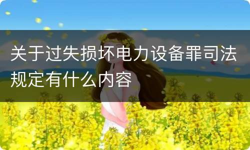 关于过失损坏电力设备罪司法规定有什么内容