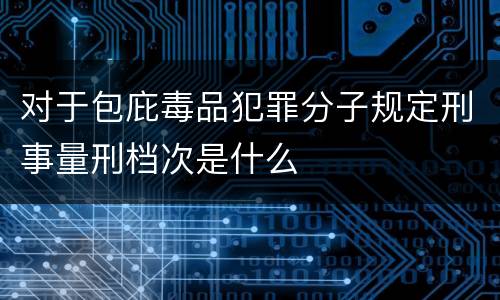 对于包庇毒品犯罪分子规定刑事量刑档次是什么