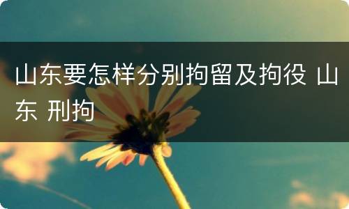 山东要怎样分别拘留及拘役 山东 刑拘