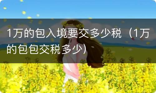 1万的包入境要交多少税（1万的包包交税多少）
