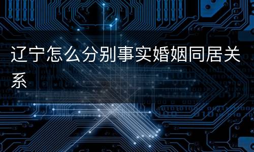 辽宁怎么分别事实婚姻同居关系