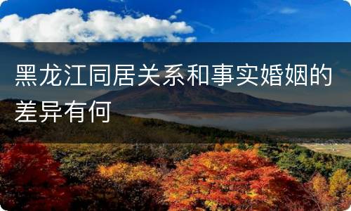 黑龙江同居关系和事实婚姻的差异有何