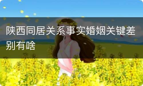 陕西同居关系事实婚姻关键差别有啥