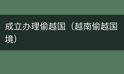 成立办理偷越国（越南偷越国境）