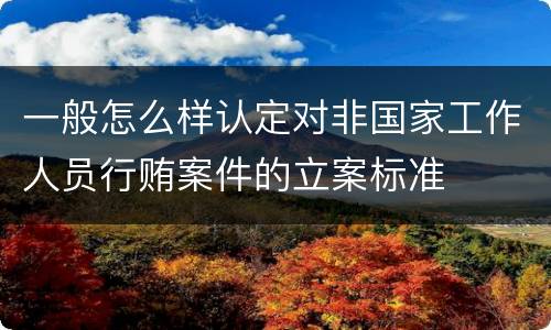 一般怎么样认定对非国家工作人员行贿案件的立案标准