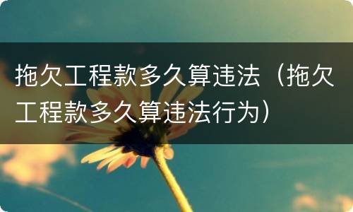 拖欠工程款多久算违法（拖欠工程款多久算违法行为）