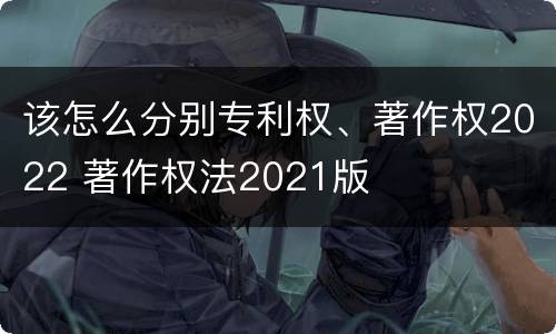 该怎么分别专利权、著作权2022 著作权法2021版